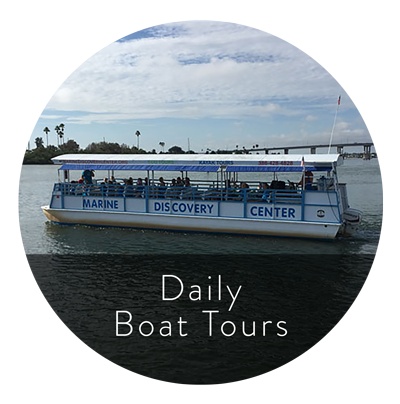 daily boat tour graphic