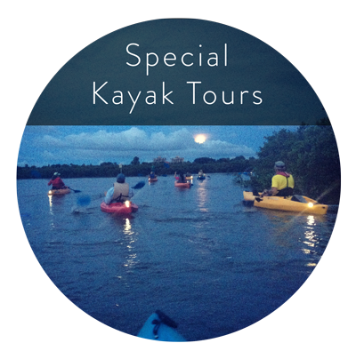 kayak special graphic 1