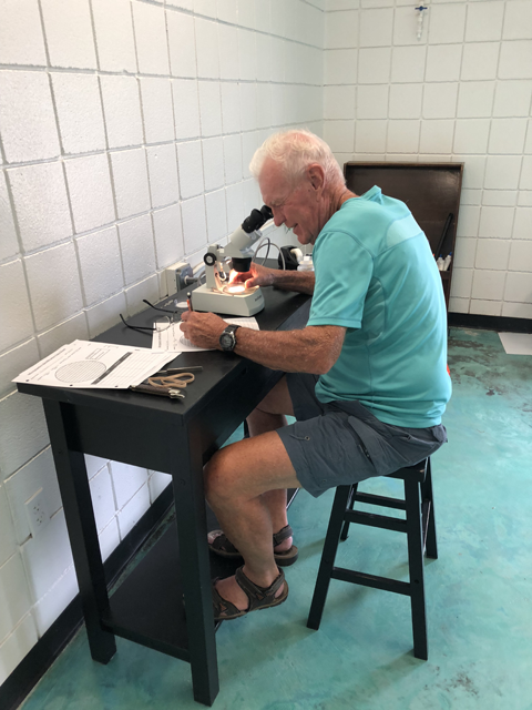 Bill Arndt scours water samples for microplastics