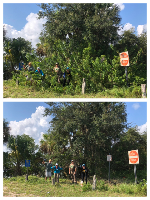 MDC Volunteers & Staff during a pepper eradication workday on our site in 2019