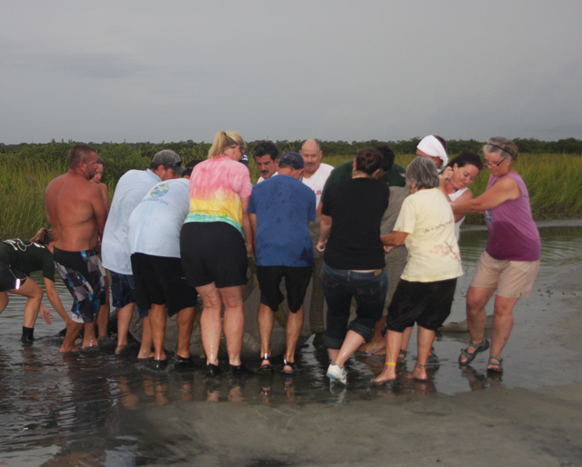 Kim (in tie-dye) and Ernie (just to her right, facing the camera) Helping Rescue a Manatee